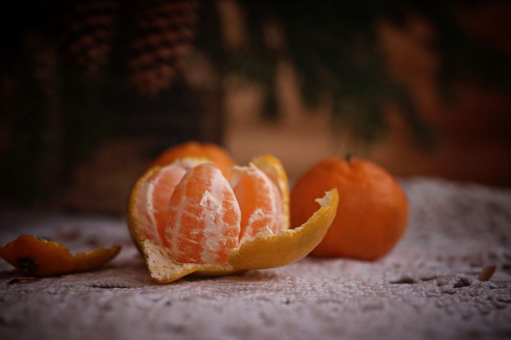 Photograph by Kira Bahvalova