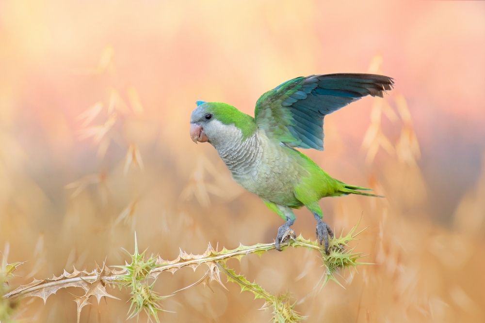 Photograph by Людмила Бекман