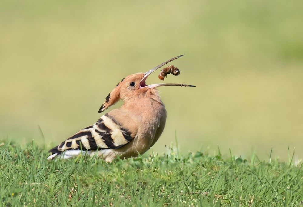 Photograph by Людмила Бекман