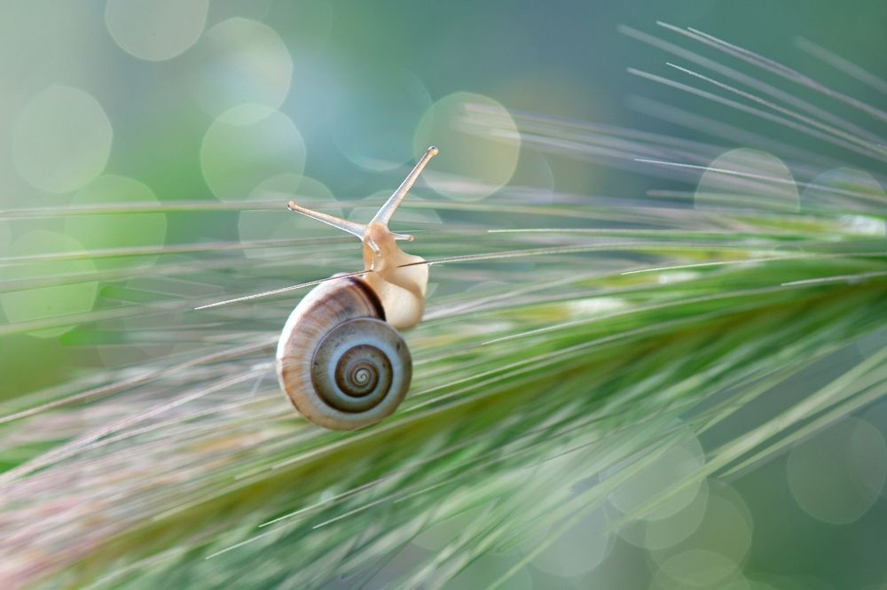 Photograph by Людмила Бекман