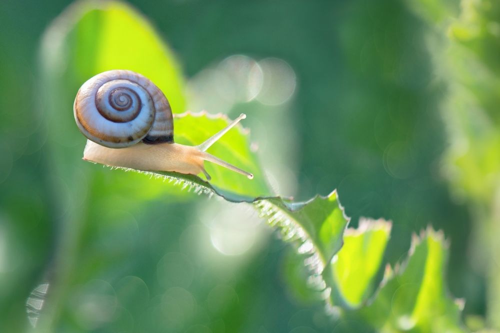 Photograph by Людмила Бекман