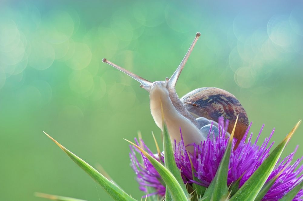 Photograph by Людмила Бекман