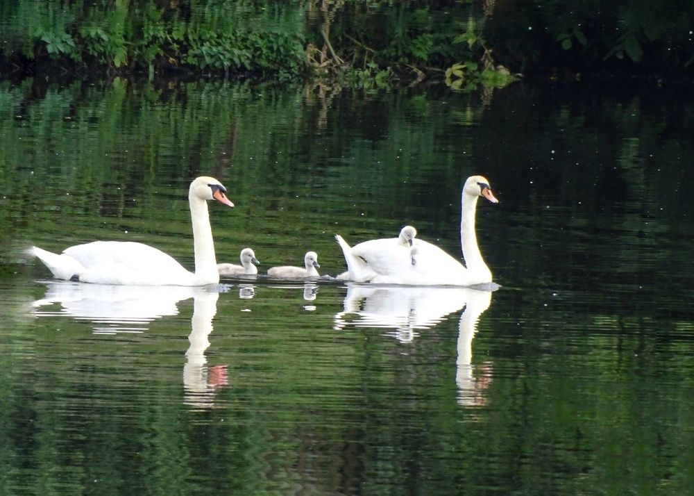 Photograph by Alla Roslova