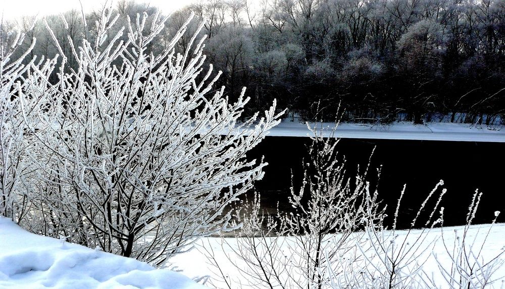 Photograph by леонид натапов