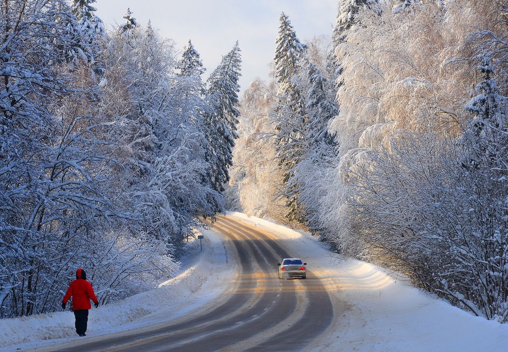 Photograph by Лариса Петрова