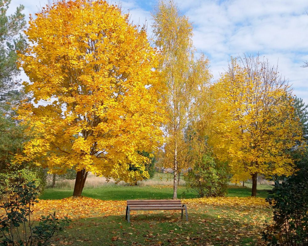 Photograph by Сергей Седов