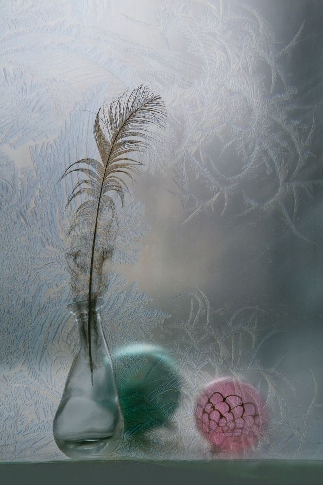 Фотография автора Анна Петина