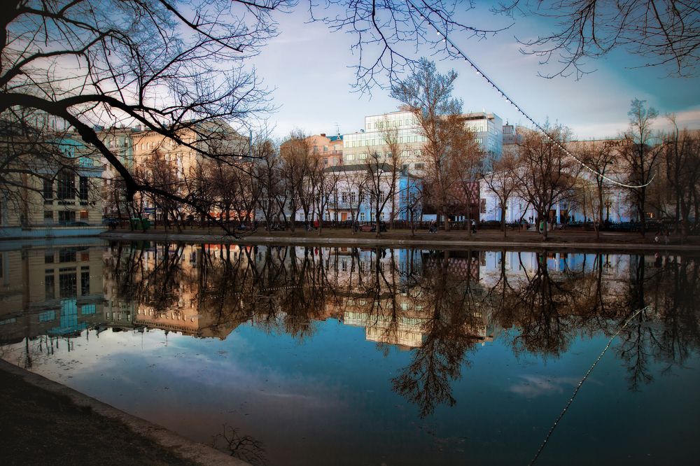 Фотография автора Анна Петина