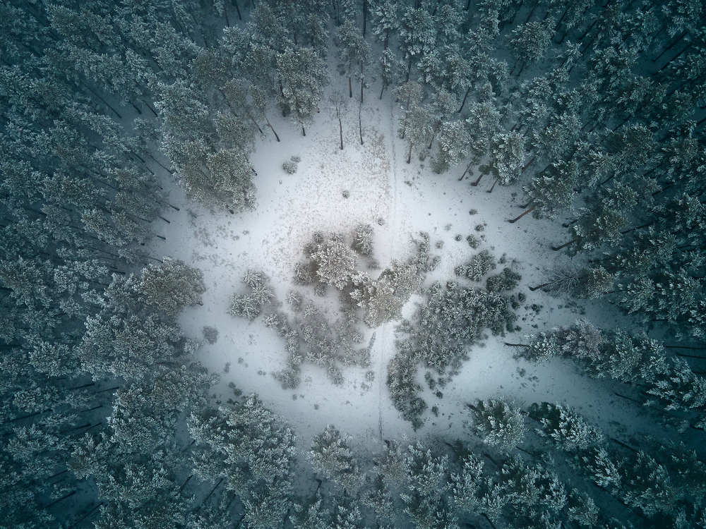 Photograph by Алексей Курочкин