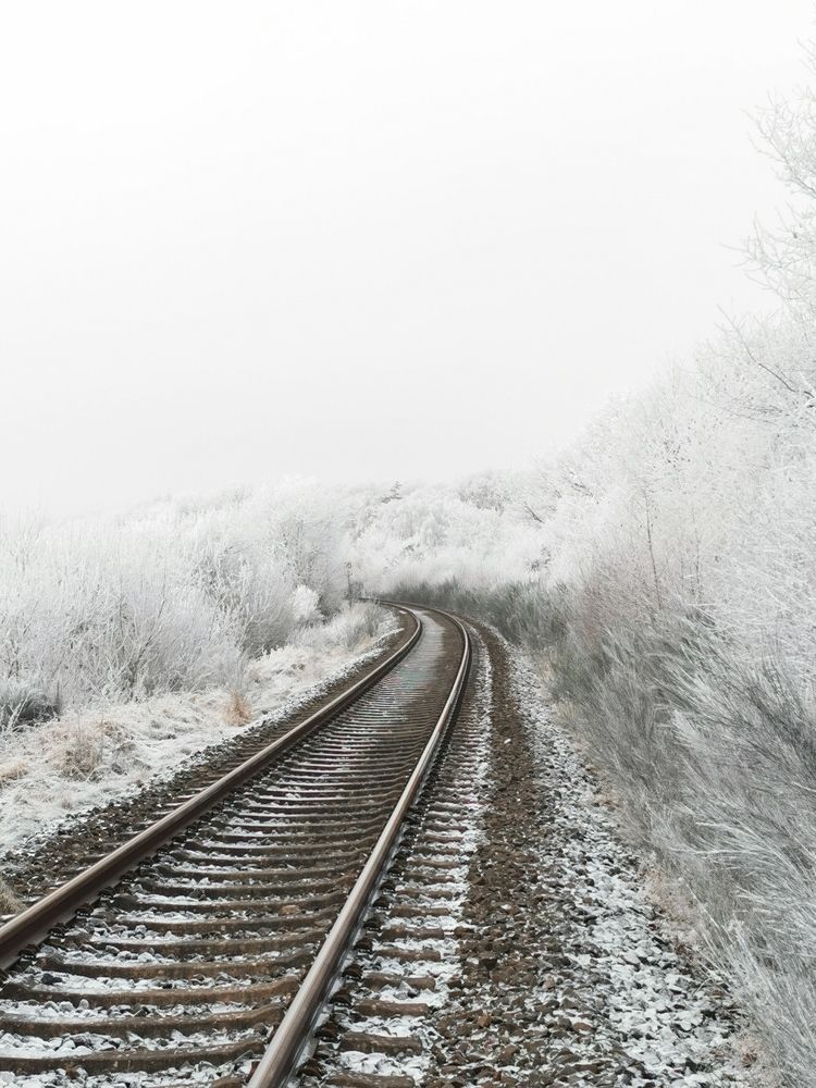 Photograph by Михаил Жарский