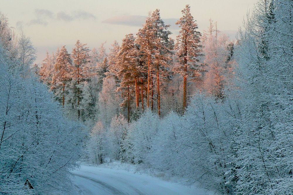 Photograph by Sergei Petrov