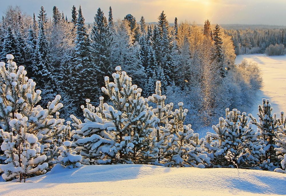 Photograph by Sergei Petrov