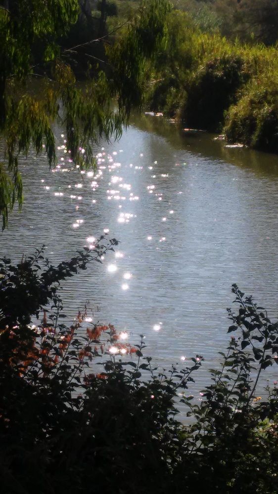 Photograph by Jacob Greenberg