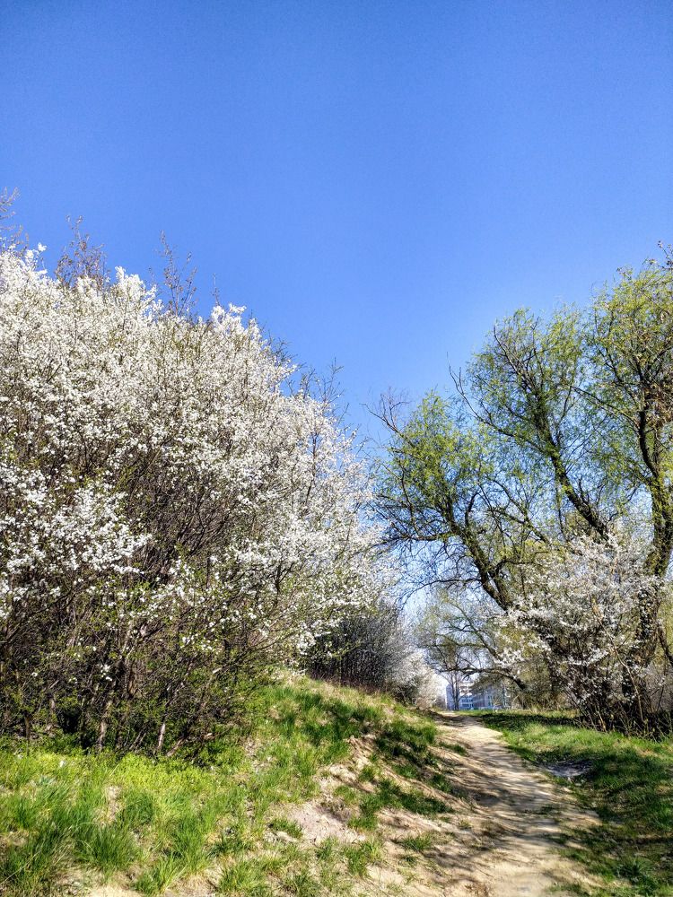 Photograph by Ирина Половцева