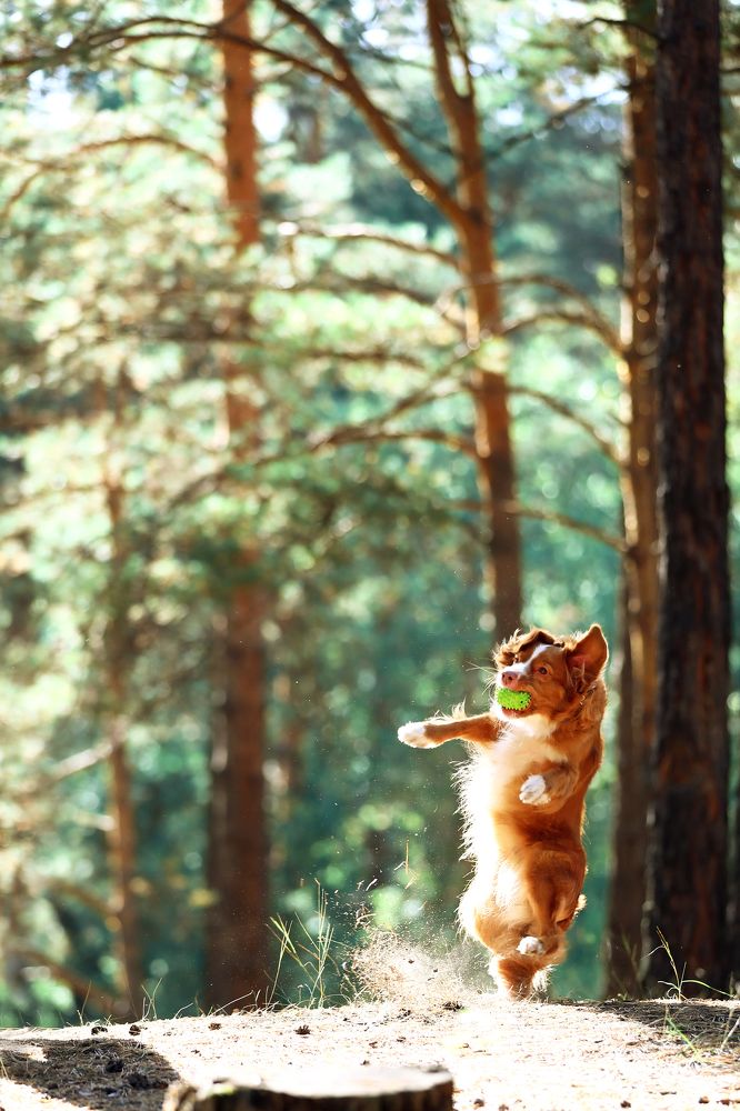 Photograph by Дмитрий Бородин