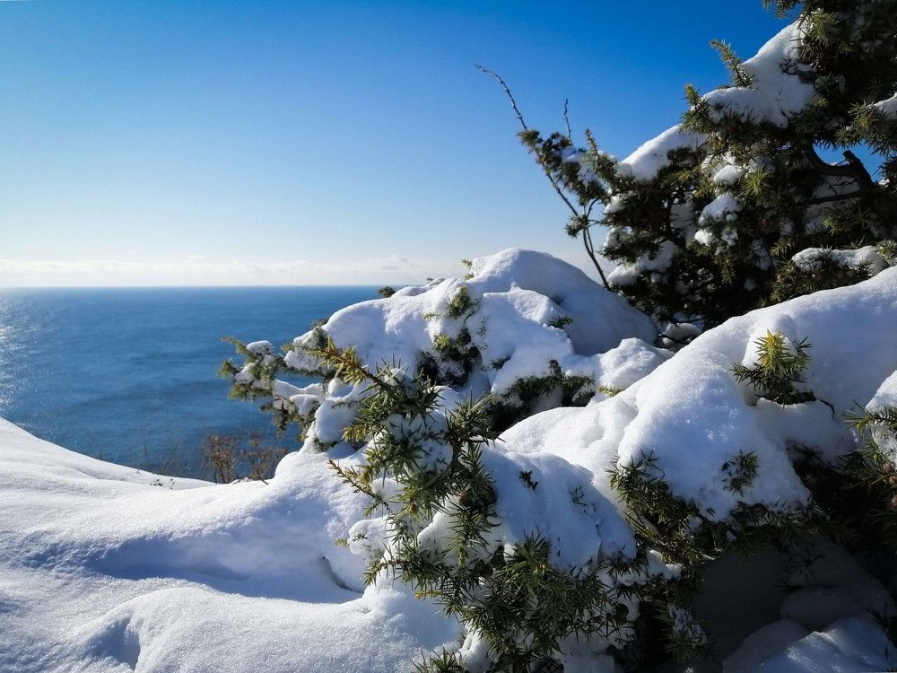 Photograph by Ирина Ри