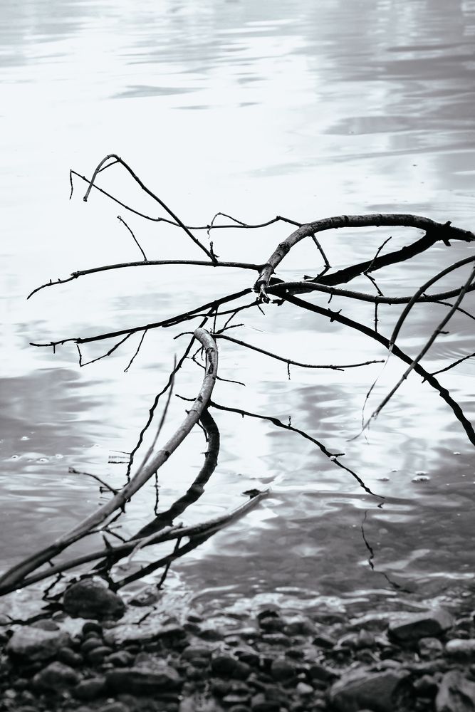 Photograph by Анастасия Хованская