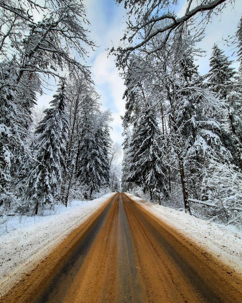 Photograph by Суетинов Евгений