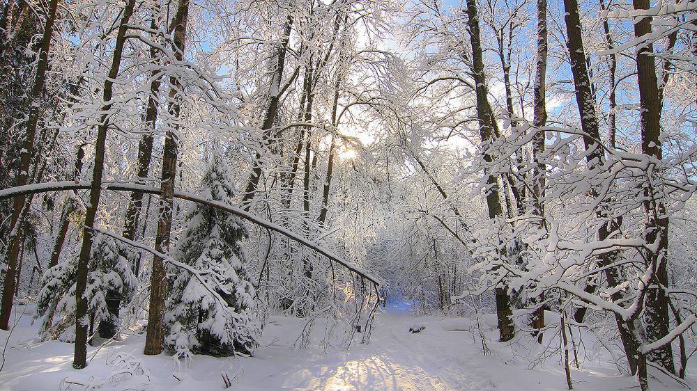 Фотография автора Михаил Крюков