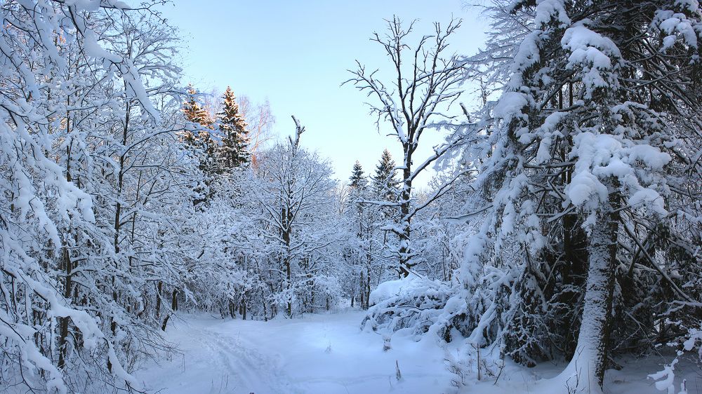 Фотография автора Михаил Крюков