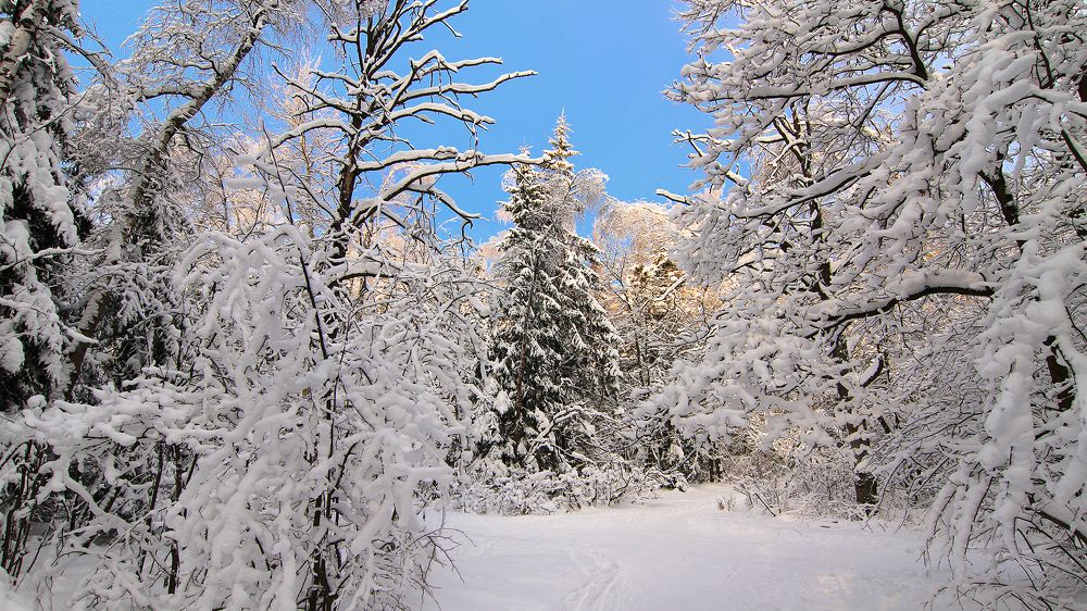 Фотография автора Михаил Крюков