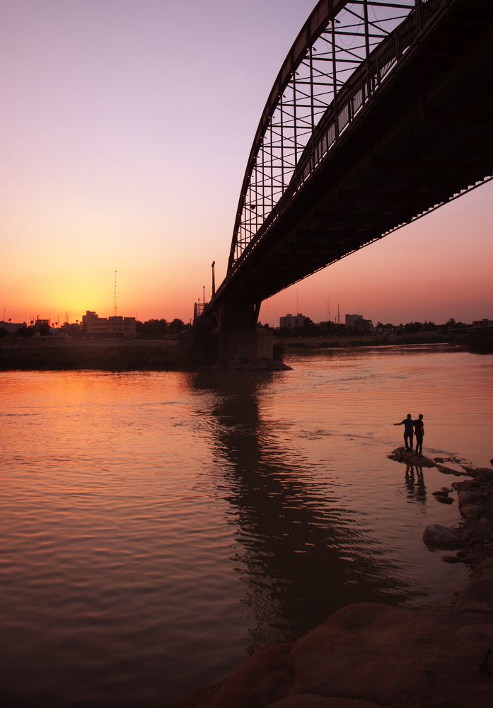 Фотография автора Mojtaba Chenari