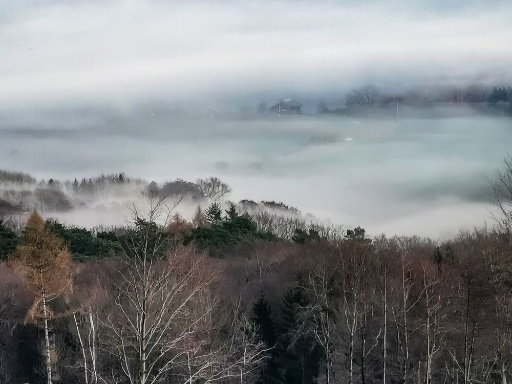 Фотография автора Mojtaba Chenari