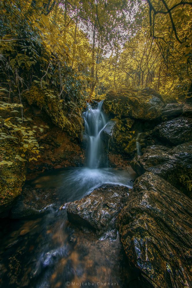 Фотография автора Mojtaba Chenari
