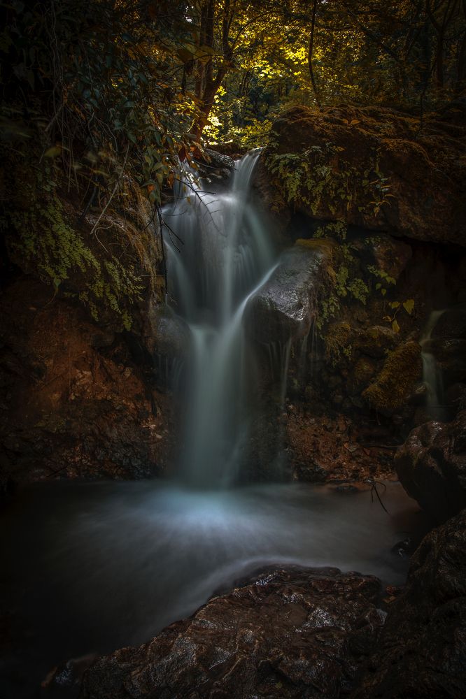 Фотография автора Mojtaba Chenari