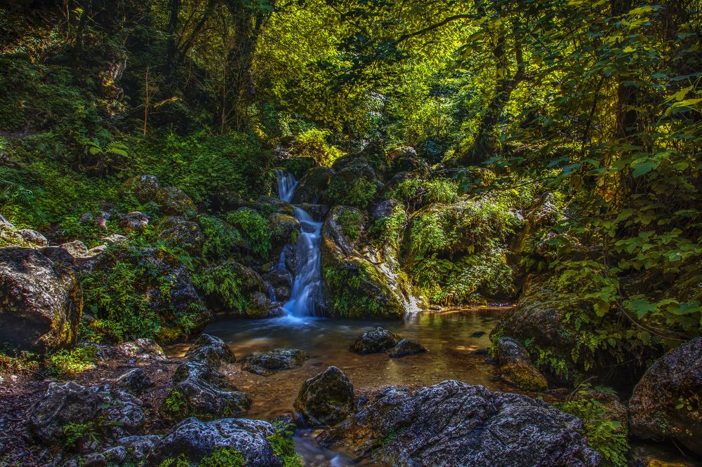 Фотография автора Mojtaba Chenari