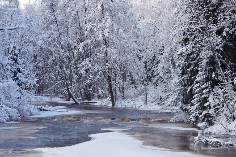 Photograph by Светлана Муравьева