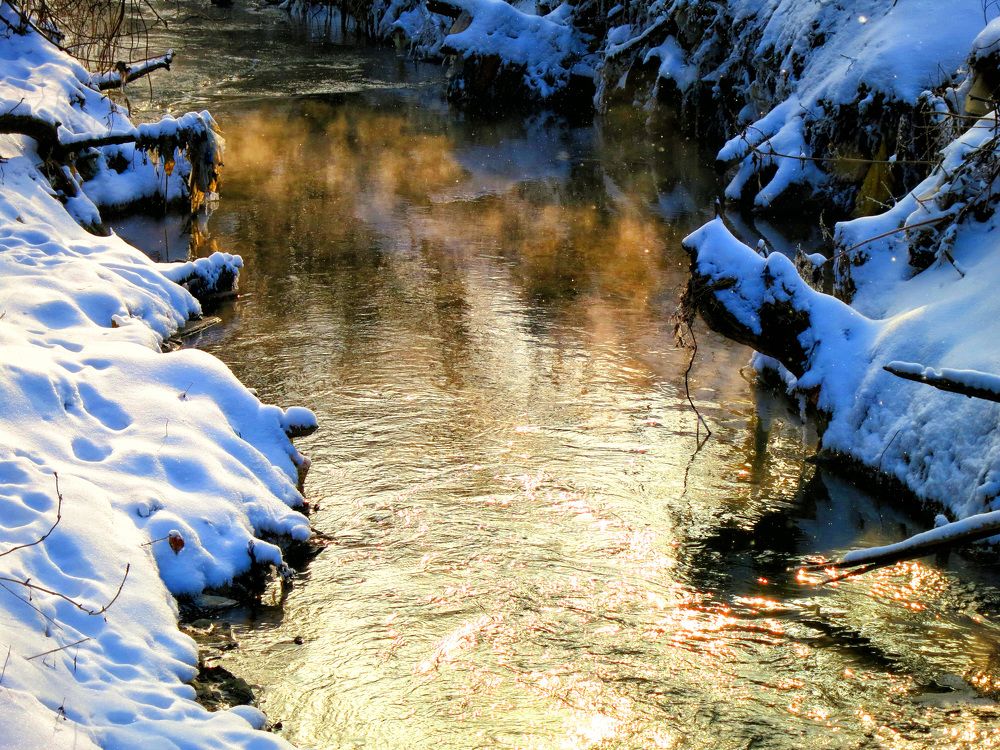 Photograph by София Гавриловна Вотякова