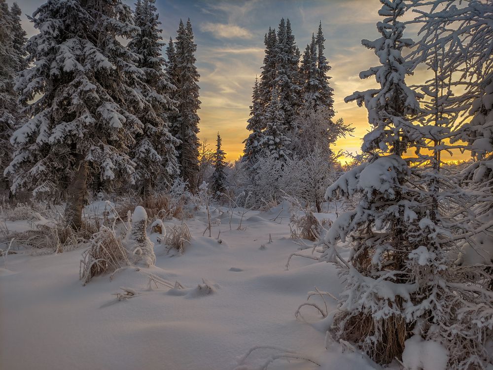 Photograph by Игорь Подобаев