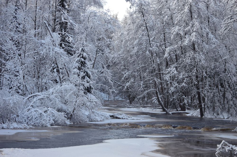 Photograph by Светлана Муравьева