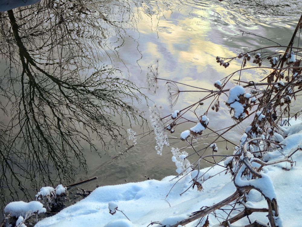 Photograph by София Гавриловна Вотякова