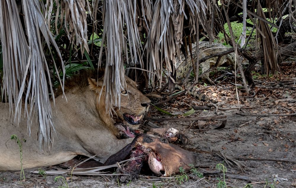 Photograph by Kristiina Stahlberg