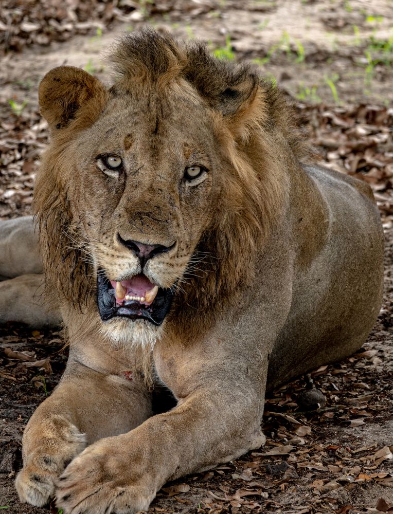 Photograph by Kristiina Stahlberg