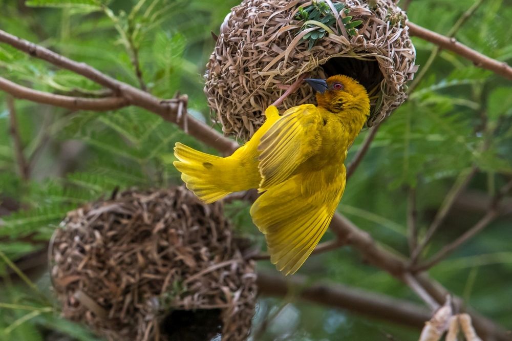 Photograph by Алексей Мараховец