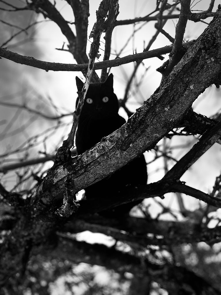 Photograph by Laura Simanaviciute