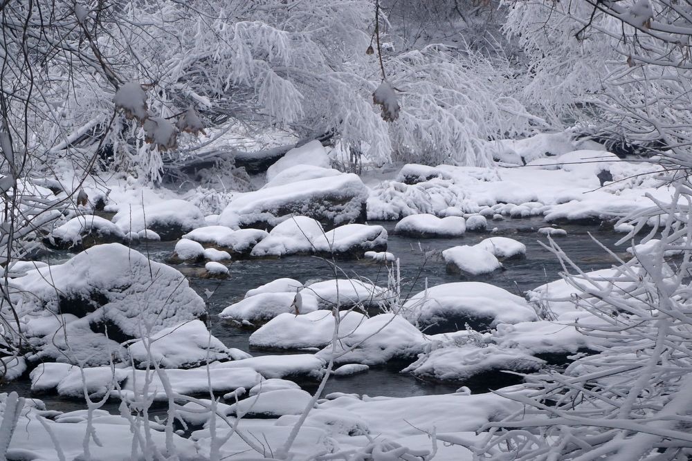 Photograph by Олег Машковский