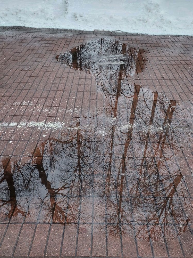 Photograph by Анна Витальевна