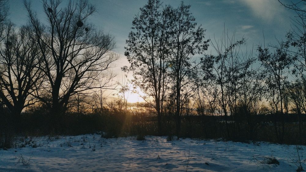 Photograph by Наталия Викторовна