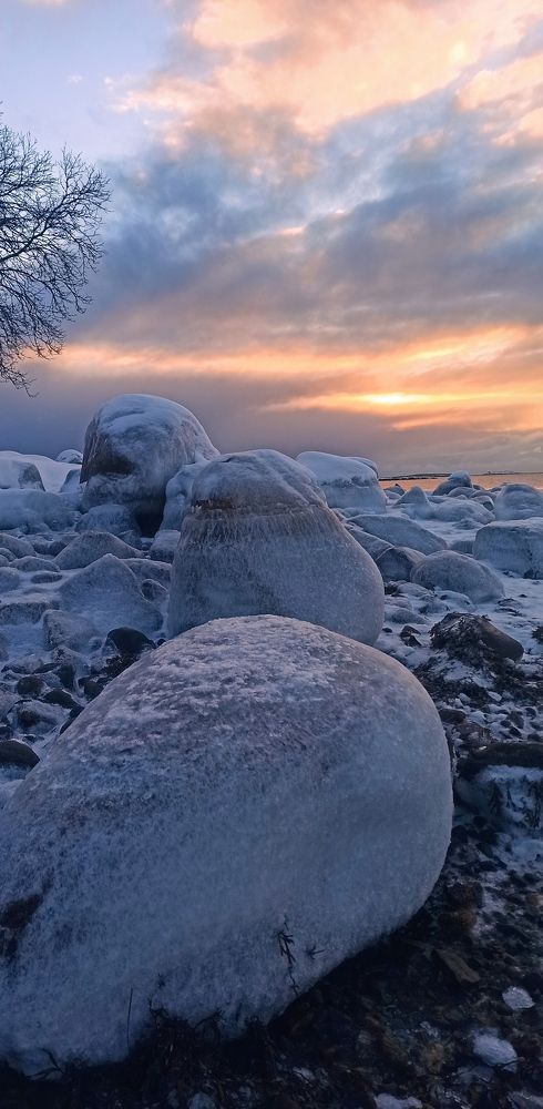 Фотография автора Алсуфьева Елена