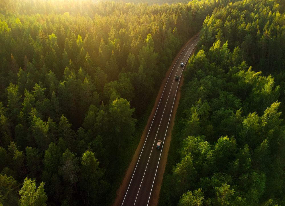 Photograph by Рут Андрей