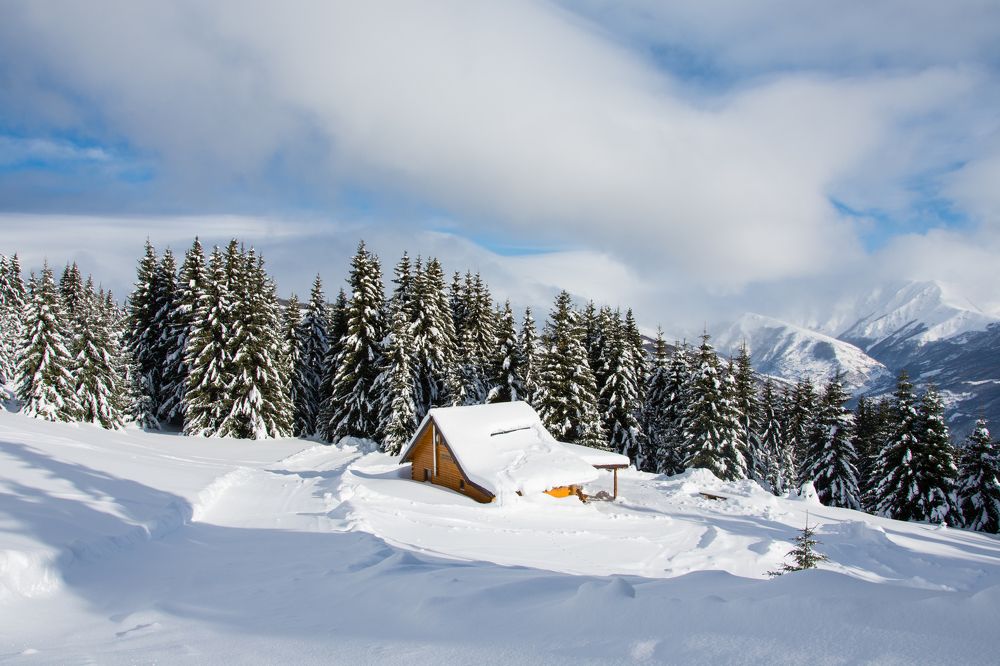 Фотография автора Lidija Gjatovska