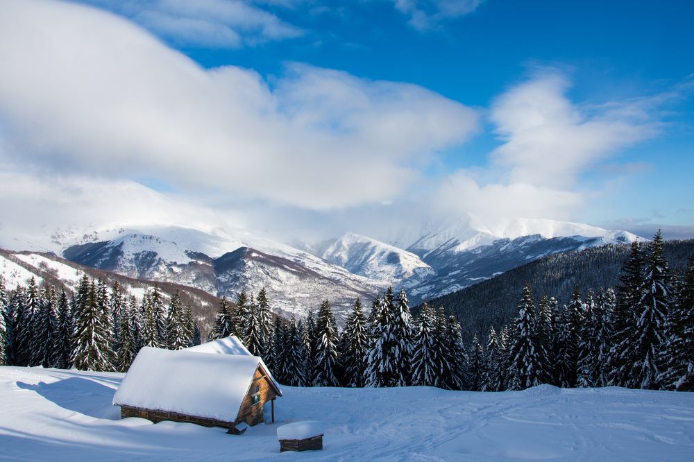 Фотография автора Lidija Gjatovska