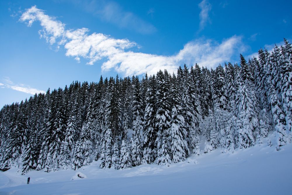Фотография автора Lidija Gjatovska