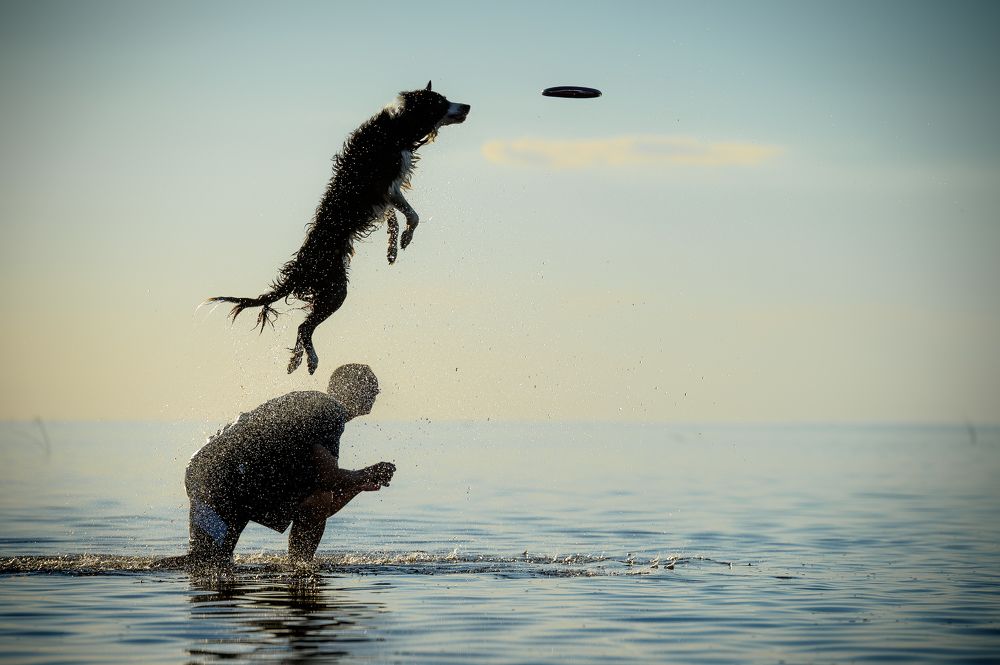 Photograph by Alexander Vlasov