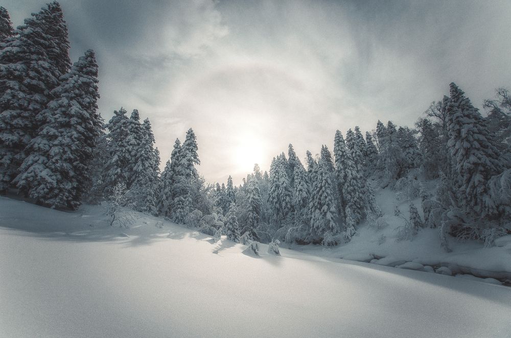 Photograph by Сергей Лукашенко