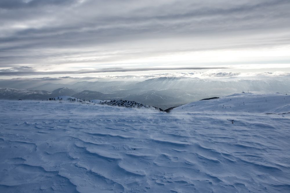 Фотография автора Lidija Gjatovska